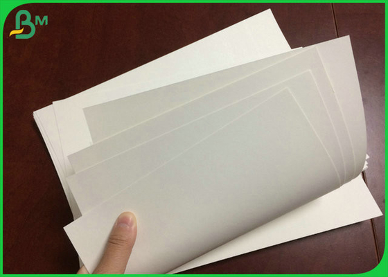 98% Độ trắng 240gr + 18g PE Cupstock Giấy cuộn Lớp phủ Matt PE cho cốc giấy